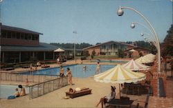 The Motor House Pool Postcard