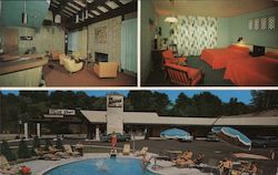 The Springs Motor Inn and Restaurant New Ashford, MA Postcard Postcard Postcard