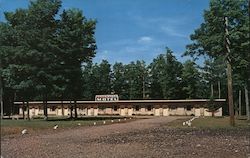 Edgewater Motel Hwy. 51 Woodruff, WI Postcard Postcard Postcard