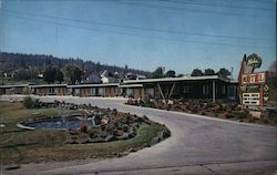 Aloha Motel Postcard