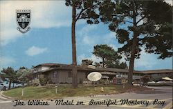 "The Wilkies" Motel on Beautiful Monterery Bay Postcard