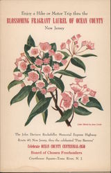 Enjoy a Hike or Motor Trip Thru the Blossoming Frangrant Laurel Postcard