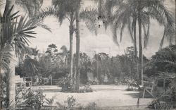 The Modern Health Resort, Florida Health Conservatory Postcard