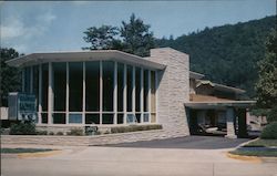 Bearskin Motel Postcard