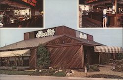 Doodles on Kingston Pike Postcard