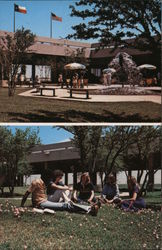 The University of Texas of the Permian Basin Postcard