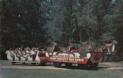 Florida's Silver Springs Postcard