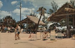 Beautiful Picnic Area on Siesta Beach Postcard