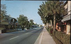 ML-76 Exclusing shopping area Las Ola Boulevard Postcard