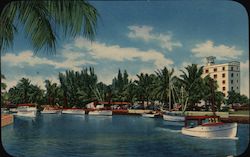 Sun View Apts. & Motel Postcard