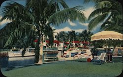 Sun View Apts & Motel Postcard