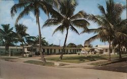 Tropical Palm Lodge Postcard