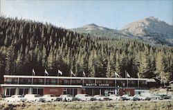 Wapta Lodge Motor Hotel British Columbia Canada Postcard Postcard Postcard