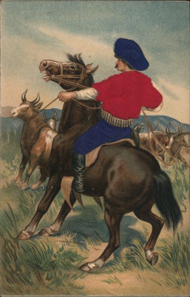 Cowboy Roping a Steer Cowboy Western