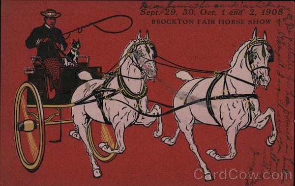 Brockton Fair Horse Show Massachusetts Horses