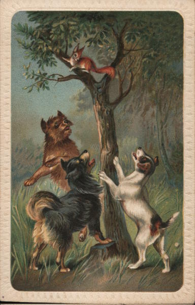 Three Dogs and a Squirrel