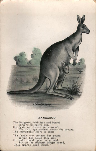 Drawing of Kangaroo