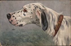 Portrait of a Dog Postcard
