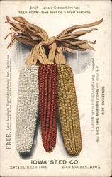 Iowa Seed Company, Corn Postcard