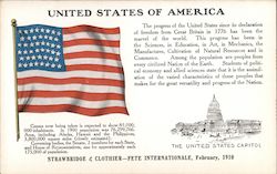 United States of America Flag Postcard