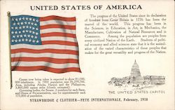 United States of America Flag Postcard