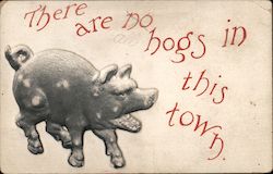 There are No Hogs in This Town Postcard