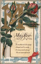 Moss Rose Flowers Postcard Postcard Postcard