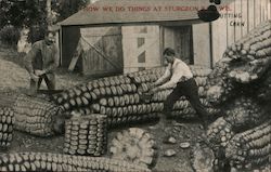 How We do Things at Sturgeon, Wis. Postcard