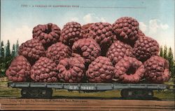 A Carload of Raspberries From______________ Postcard