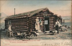 A Western Bachelor's Home Cowboy Western Postcard Postcard Postcard