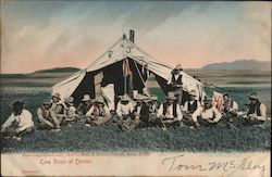 Cow Boys at Dinner Postcard