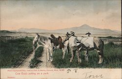 Cow boy's putting on a pack Cowboy Western Postcard Postcard Postcard
