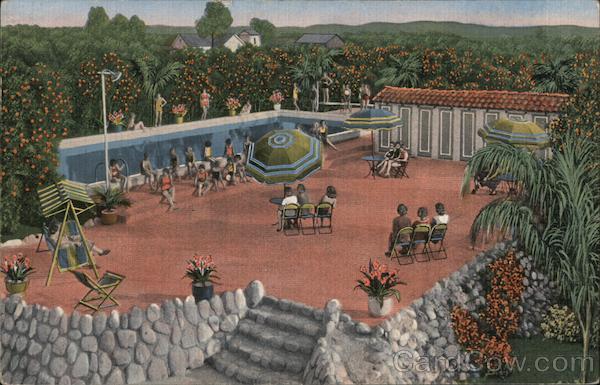 Swimming Pool Among Orange Groves California