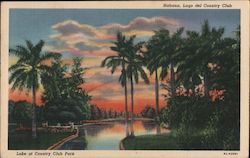 Lake at Country Club Park Postcard