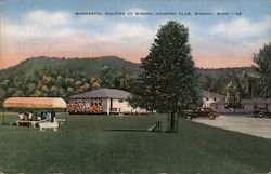Wonderful Golfing at Winona Country Club Postcard