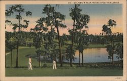 Golfing, A Year Round Sport in Florida Postcard