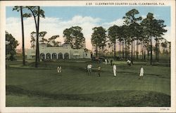 Clearwater Country Club Florida Postcard Postcard Postcard