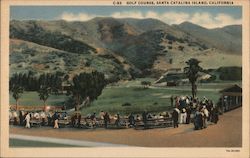 Gold Course Postcard