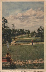 14th Hole, No. 3 Course Pinehurst, NC Postcard Postcard Postcard