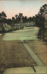 Long Shadows-428 Yards-Par 4 Forest Hills Golf Course Postcard