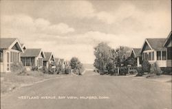 Westland Avenue, Bay View Postcard