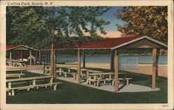 Collins Park Postcard