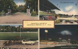 Saratoga Raceway Postcard