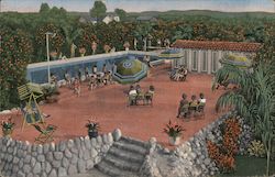 Swimming Pool Among Orange Groves Postcard