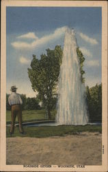 Roadside Geyser Postcard