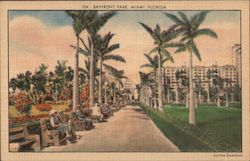 Bayfront Park Postcard