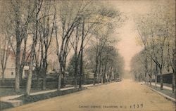 Casino Avenue Cranford, NJ Postcard Postcard Postcard