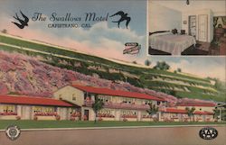 The Swallows Motel Postcard