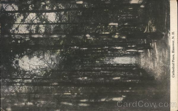 Cathedral Pines Hanover New Hampshire