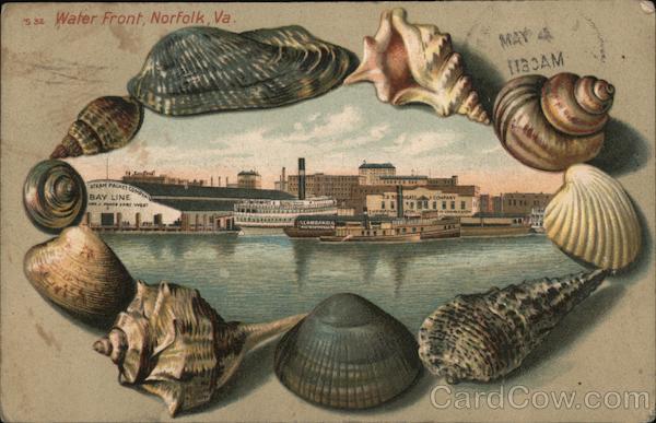 Water Front Shell Border Norfolk Virginia